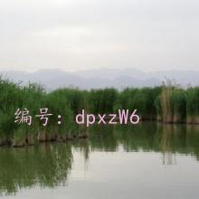 о